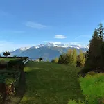 Apartment Terrasse Des Alpes 618 By Interhome